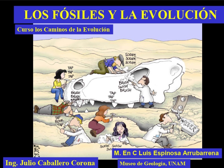 Fósiles.jpg