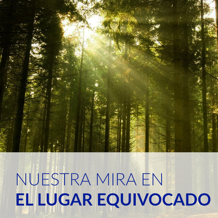biodiversidad.jpg