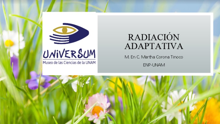Radiación_adaptativa.jpg