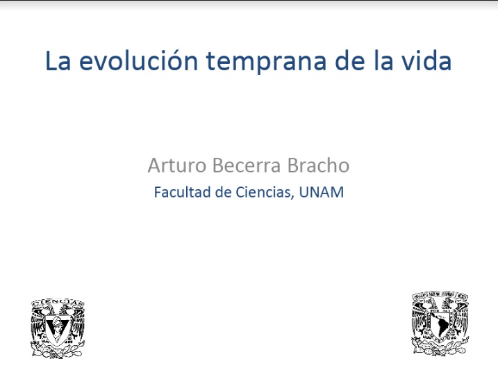 Evolución_temprana.jpg