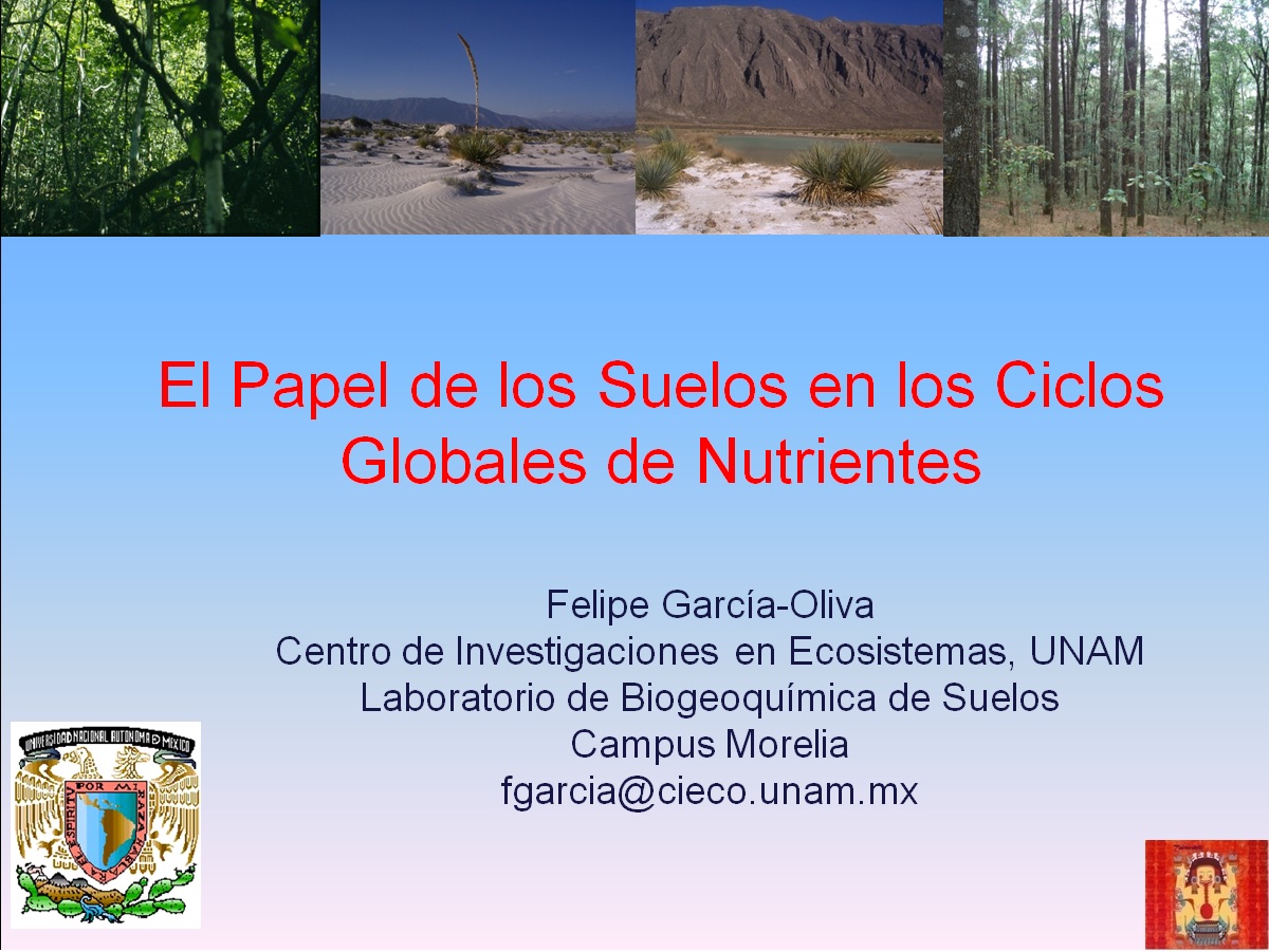 suelos-ciclos.jpg