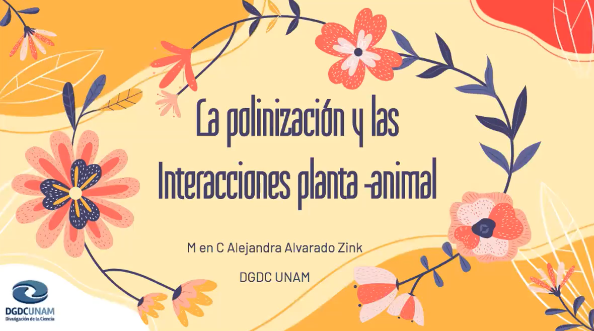 alejandra_polinizacion.png