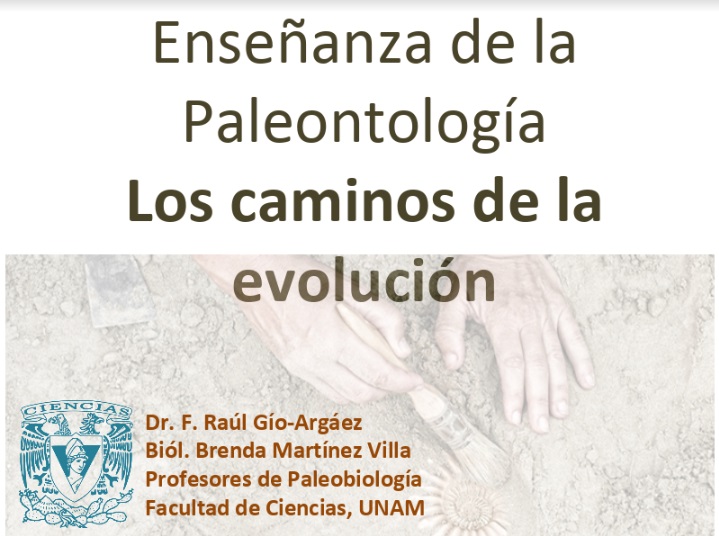 Enseñanza_paleontología.jpg