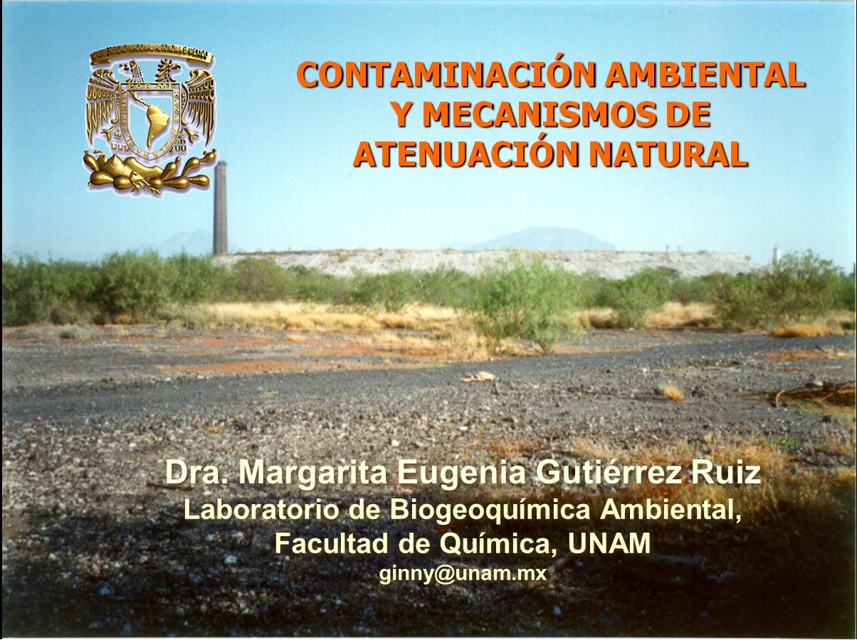 contaminacion-ambiental.jpg