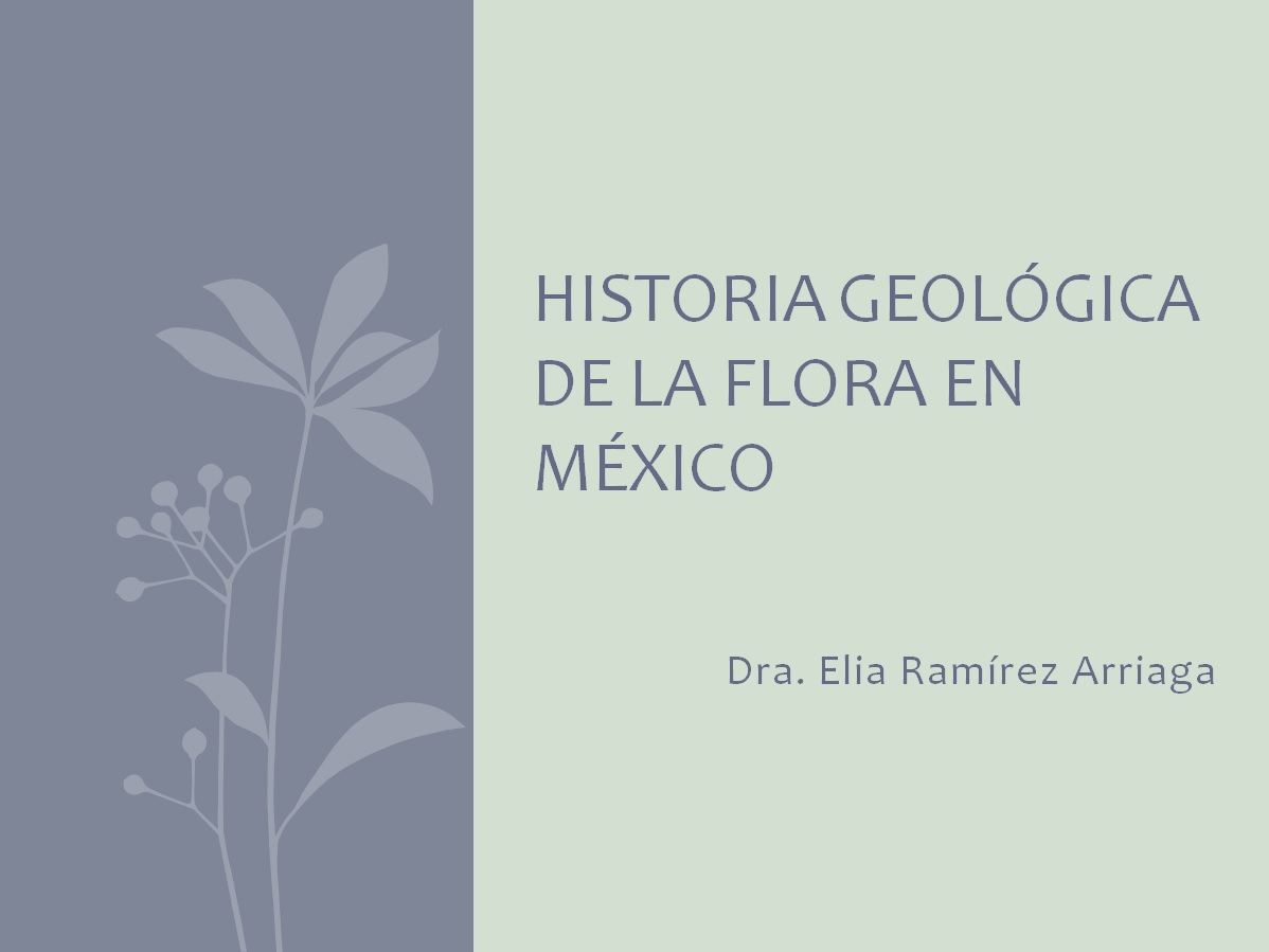 historia-geol-flora.jpg