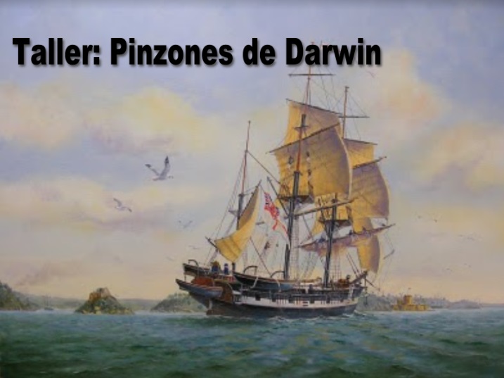 Pinzones.jpg